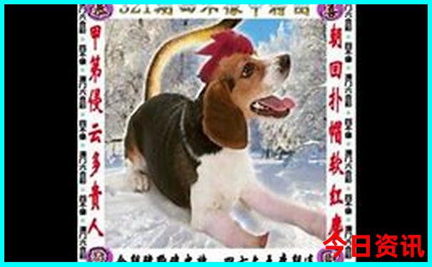 湖北恩施旅游必去十大景点